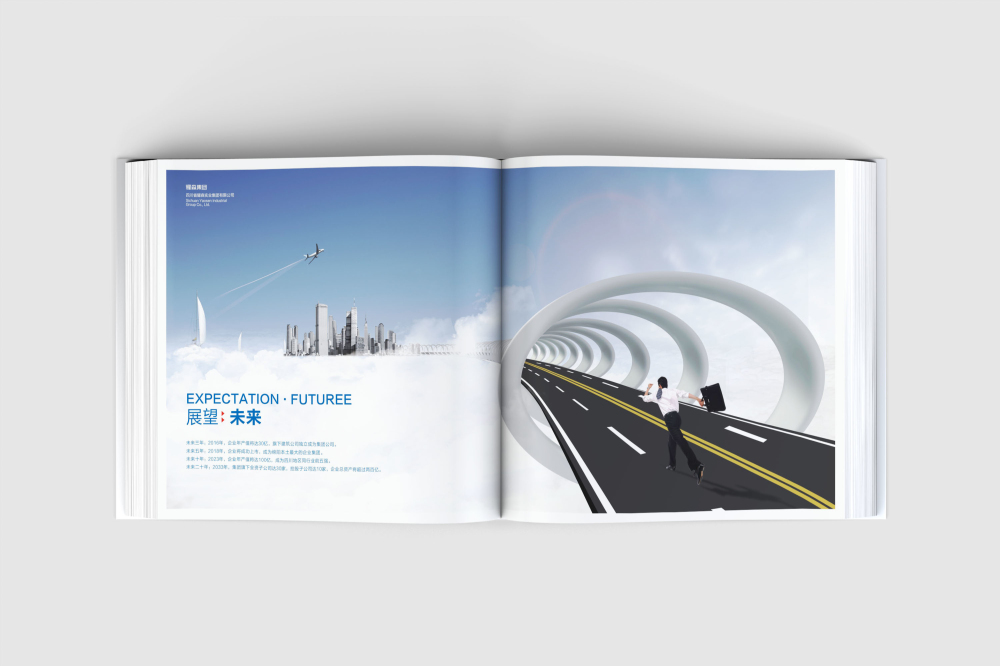 江岸区画册设计